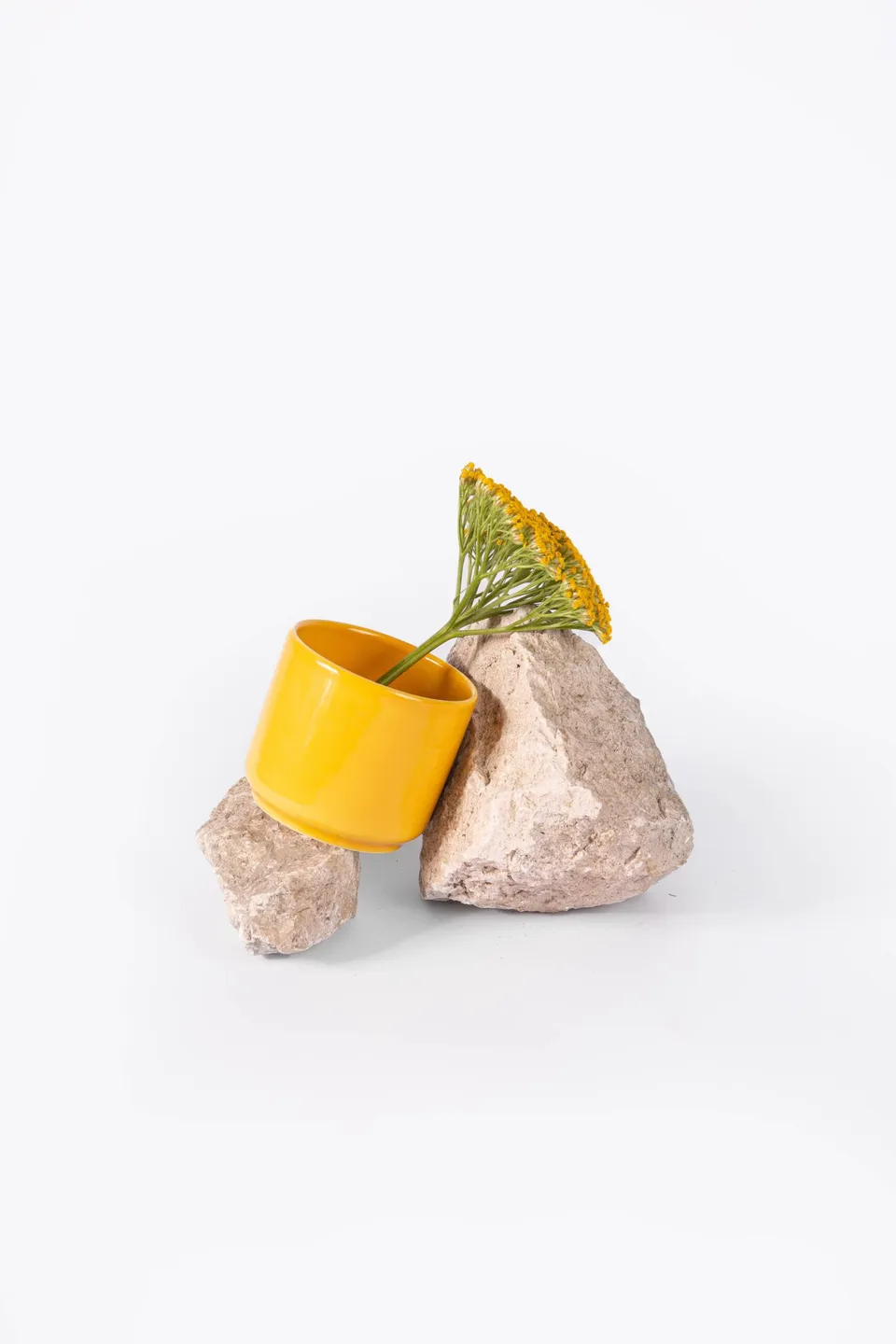 ogre-la-fabrique-mug-tasse-th-jaune-moutarde-77-mm image 1