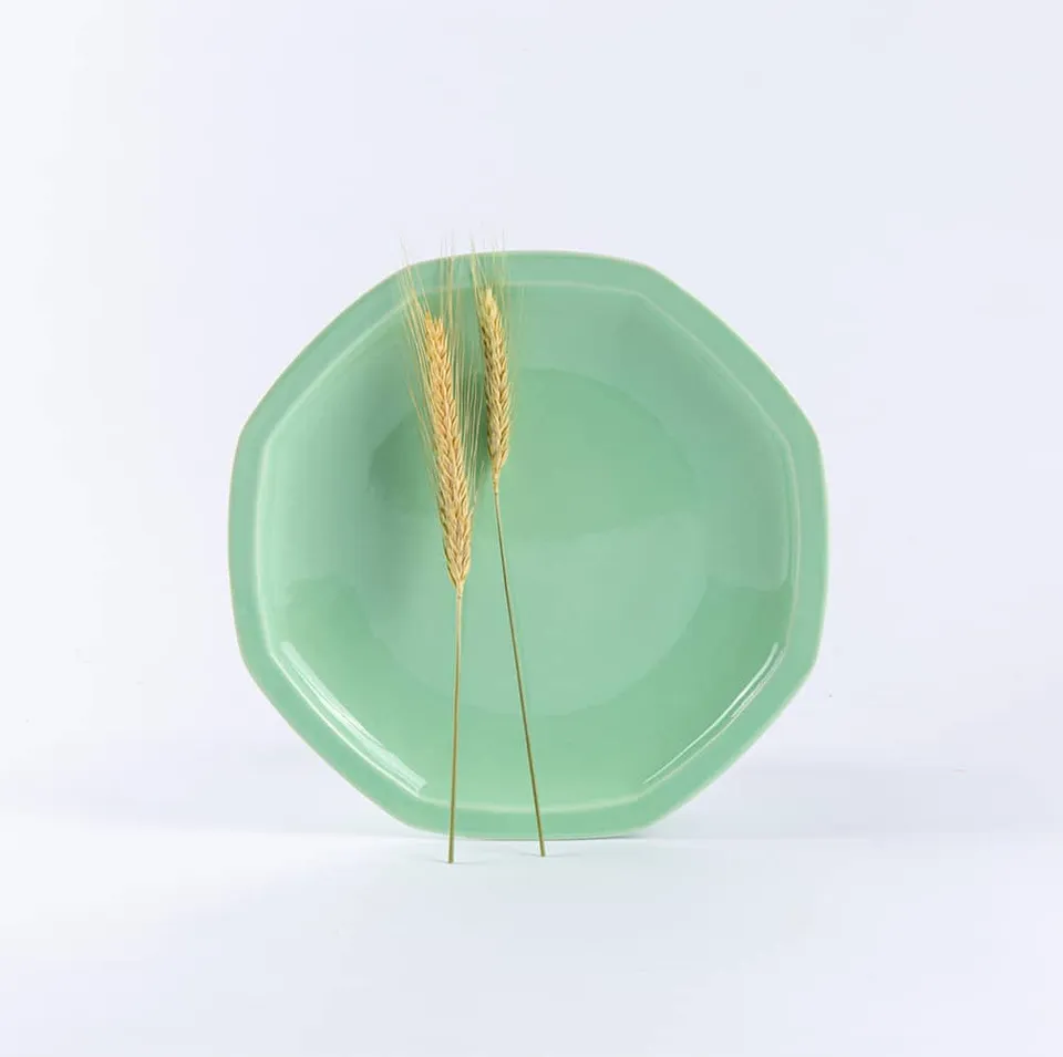 ogre-la-fabrique-intemporelle-assiette-plate-porcelaine-vert-amande-24-5-cm image 1