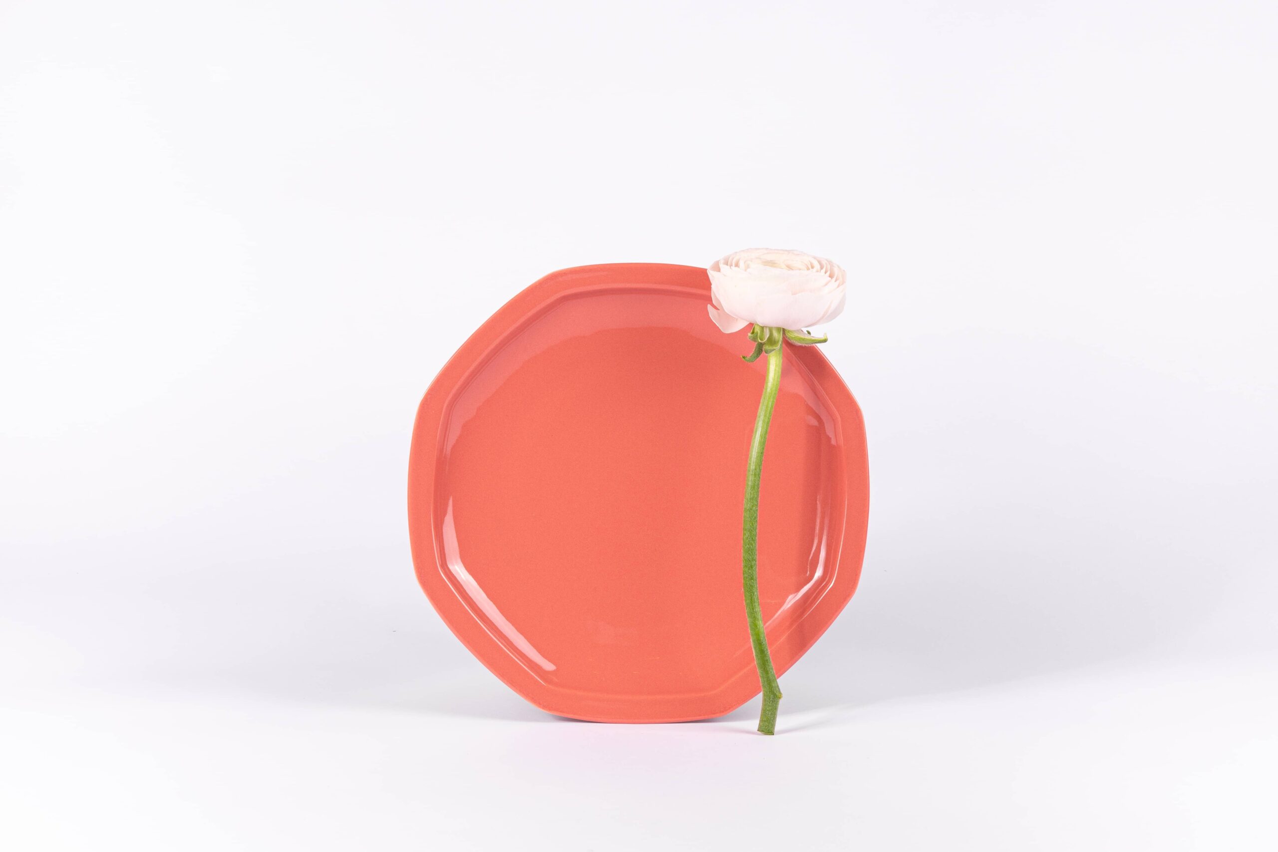 ogre-la-fabrique-intemporelle-assiette-plate-terracotta-24-5cm image 1