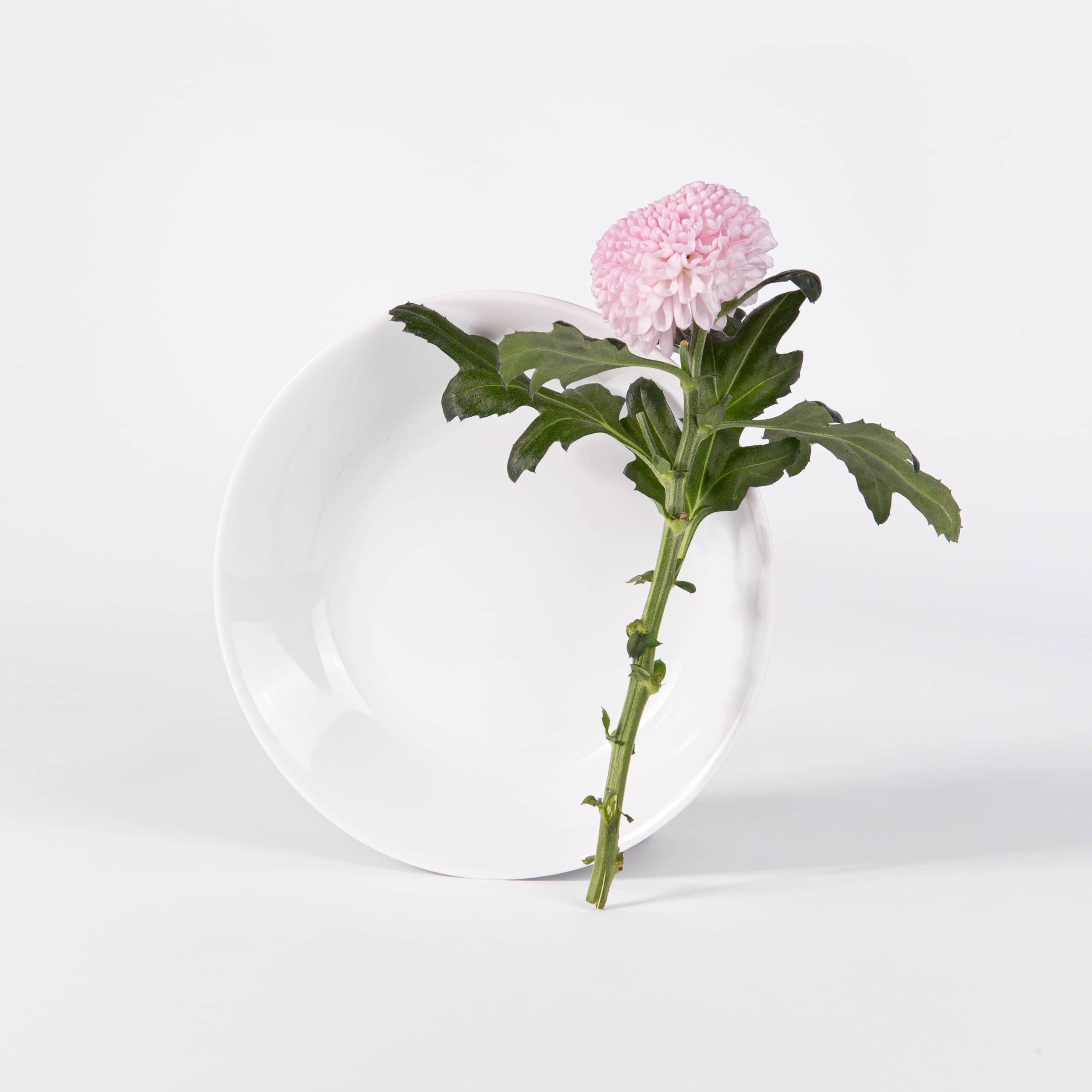 ogre-la-fabrique-essentielle-assiette-creuse-ronde-blanche-limoges-19-cm image 1
