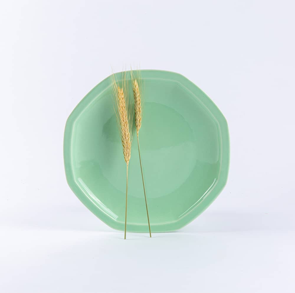 ogre-la-fabrique-intemporelle-assiette-plate-porcelaine-vert-amande-24-5-cm image 1