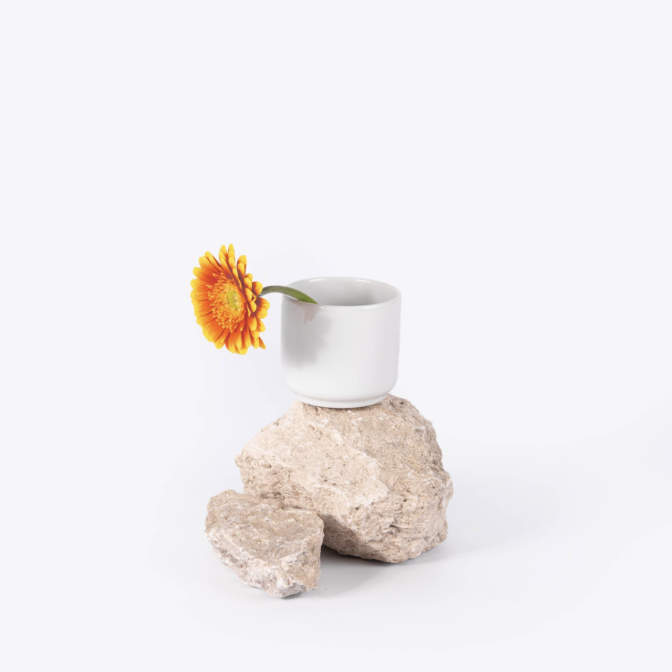 ogre-la-fabrique-mug-tasse-caf-porcelaine-blanche-limoges-sans-anse image 1