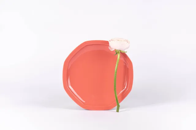 ogre-la-fabrique-intemporelle-assiette-plate-terracotta-24-5cm image 1