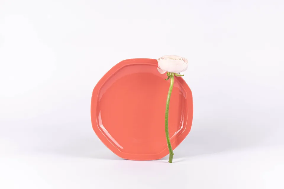 ogre-la-fabrique-intemporelle-assiette-plate-terracotta-24-5cm image 1