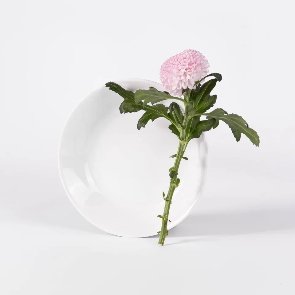 ogre-la-fabrique-essentielle-assiette-creuse-ronde-blanche-limoges-19-cm image 1