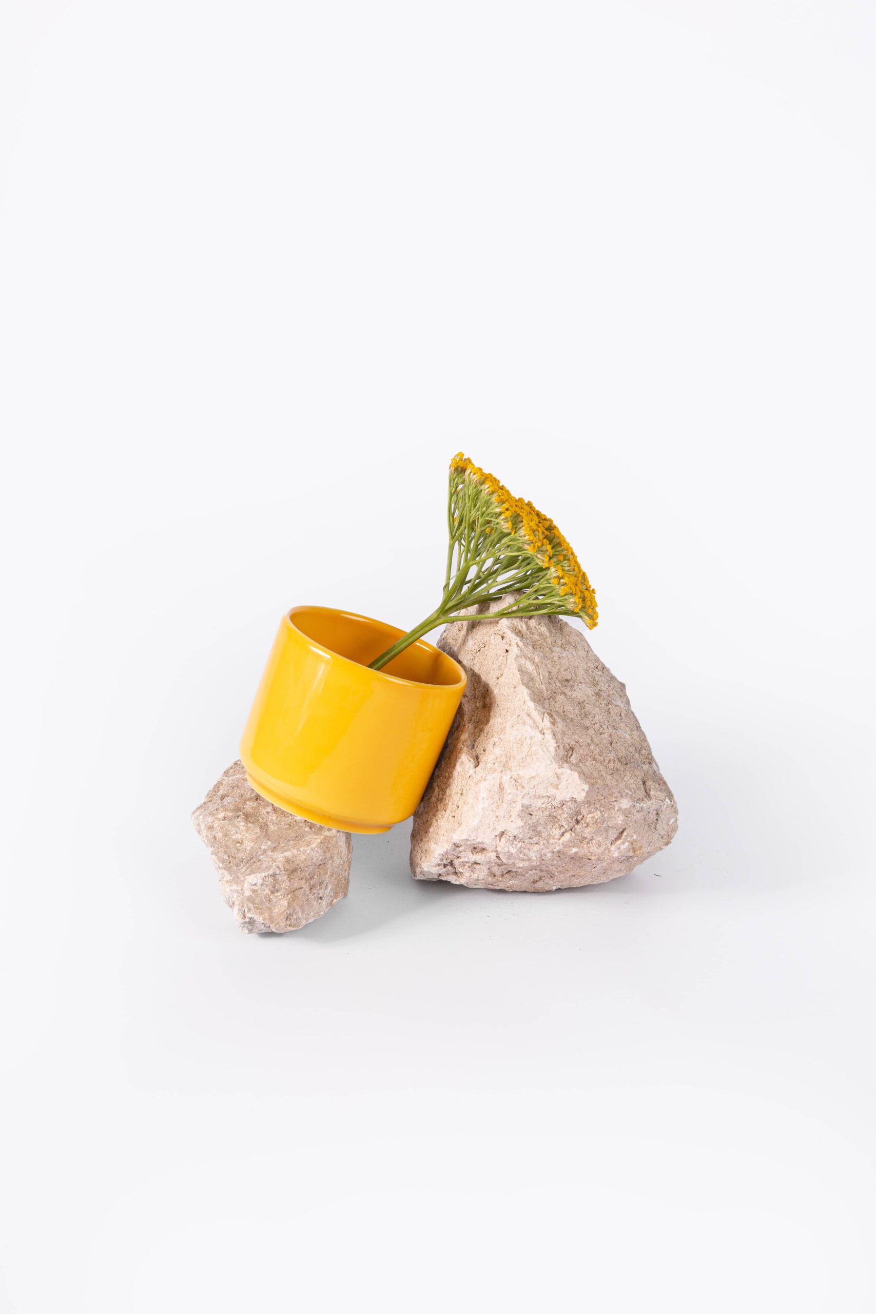 ogre-la-fabrique-mug-tasse-th-jaune-moutarde-77-mm image 1